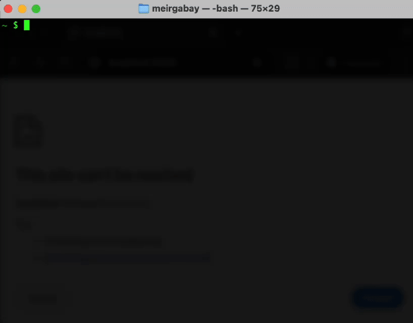 Run nginx locally